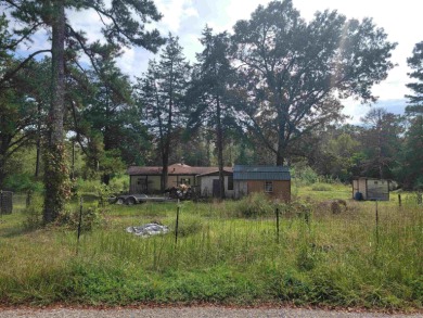 Lake Wilhelmena  Home For Sale in Mena Arkansas
