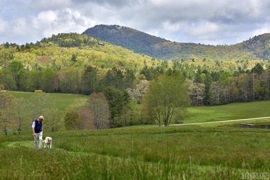 Between two North Carolina mountain ridges lies an expansive - photo 13