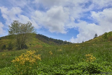 Between two North Carolina mountain ridges lies an expansive - photo 14