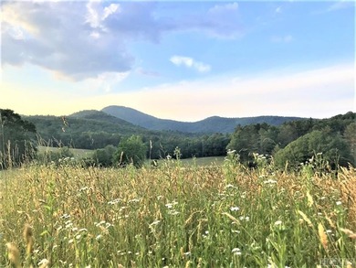 Between two North Carolina mountain ridges lies an expansive - photo 15