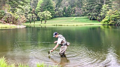 Between two North Carolina mountain ridges lies an expansive - photo 19