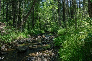 Remote, private, and surrounded by nature, this off-grid hunting - photo 29