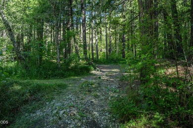 Remote, private, and surrounded by nature, this off-grid hunting - photo 30