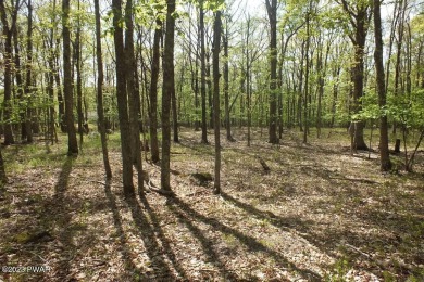 Tink Wig Lake Lot For Sale in Hawley Pennsylvania