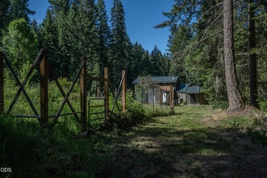 Remote, private, and surrounded by nature, this off-grid hunting - photo 33