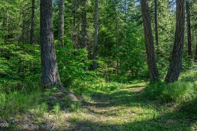 Remote, private, and surrounded by nature, this off-grid hunting - photo 34