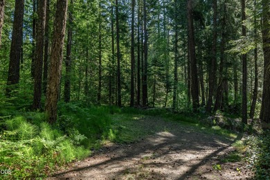 Remote, private, and surrounded by nature, this off-grid hunting - photo 36