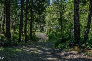 Remote, private, and surrounded by nature, this off-grid hunting - photo 37