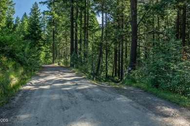Remote, private, and surrounded by nature, this off-grid hunting - photo 39