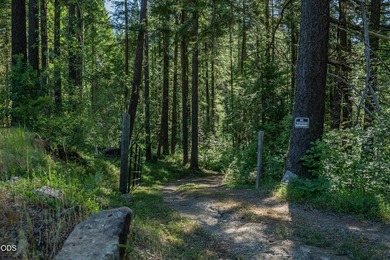 Remote, private, and surrounded by nature, this off-grid hunting - photo 40