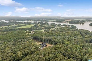 Lay Lake Home For Sale in Sylacauga Alabama