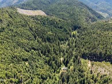 Remote, private, and surrounded by nature, this off-grid hunting - photo 43