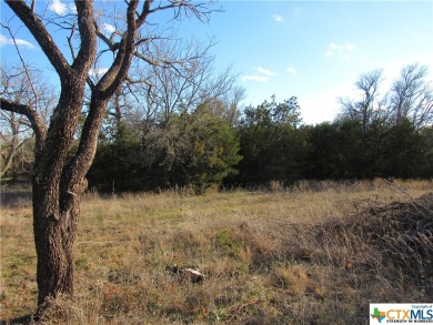  Acreage For Sale in Evant Texas