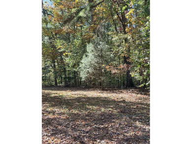 (private lake, pond, creek) Acreage For Sale in Gaffney South Carolina