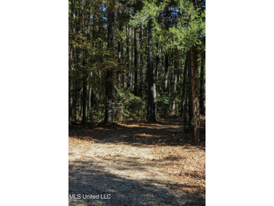 MULTI HOME PROPERTY! Welcome to your outdoorsman's paradise -- - photo 11