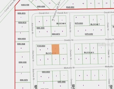 Georges Lake Lot For Sale in Florahome Florida