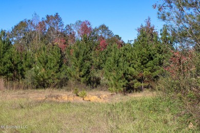 MULTI HOME PROPERTY! Welcome to your outdoorsman's paradise -- - photo 49