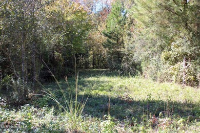 MULTI HOME PROPERTY! Welcome to your outdoorsman's paradise -- - photo 51