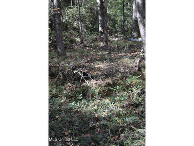 MULTI HOME PROPERTY! Welcome to your outdoorsman's paradise -- - photo 52