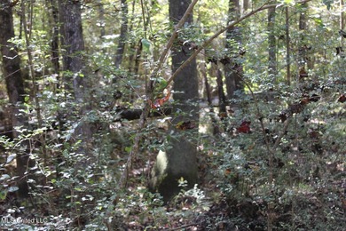 MULTI HOME PROPERTY! Welcome to your outdoorsman's paradise -- - photo 54