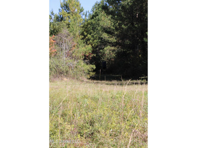MULTI HOME PROPERTY! Welcome to your outdoorsman's paradise -- - photo 55