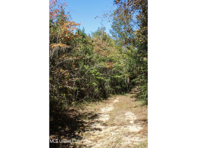 MULTI HOME PROPERTY! Welcome to your outdoorsman's paradise -- - photo 56
