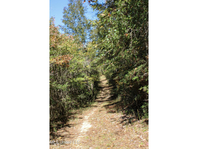 MULTI HOME PROPERTY! Welcome to your outdoorsman's paradise -- - photo 57
