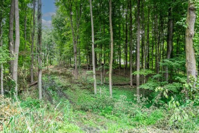 Lake Lot For Sale in Vandalia, Michigan