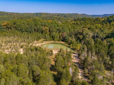 (private lake, pond, creek) Acreage For Sale in West Union Ohio