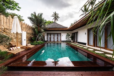 Newly Renovated, Tranquil 3 Bedroom Villa in Ubud - photo 28