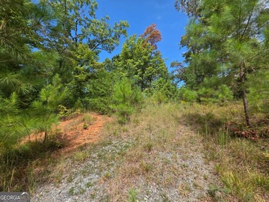 Lake Acreage For Sale in Ellijay, Georgia