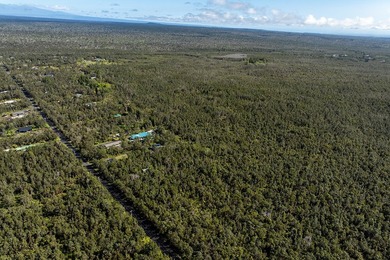 Nestled in the serene Ohia Estates subdivision near Volcano - photo 4
