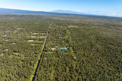 Nestled in the serene Ohia Estates subdivision near Volcano - photo 5