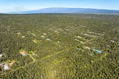 Nestled in the serene Ohia Estates subdivision near Volcano - photo 6