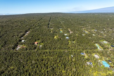 Nestled in the serene Ohia Estates subdivision near Volcano - photo 7