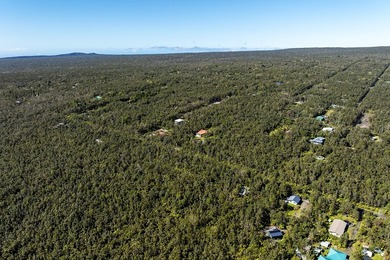 Nestled in the serene Ohia Estates subdivision near Volcano - photo 8