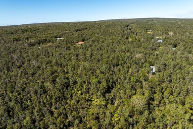Nestled in the serene Ohia Estates subdivision near Volcano - photo 9