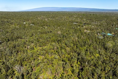 Nestled in the serene Ohia Estates subdivision near Volcano - photo 10