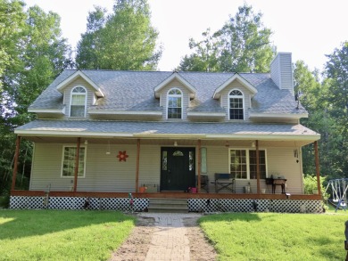  Home For Sale in Atlanta Michigan
