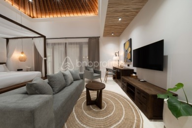 Newly Renovated, Tranquil 3 Bedroom Villa in Ubud - photo 6
