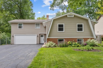 Lake Home For Sale in Island Lake, Illinois