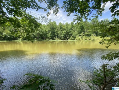 Neely Henry Lake Acreage For Sale in Ragland Alabama