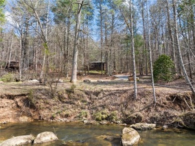 This charming cabin is the perfect opportunity for a primary - photo 25
