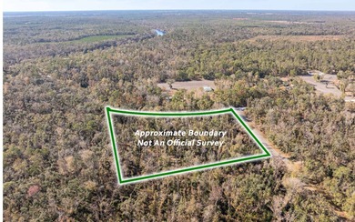 Suwannee River Lot For Sale in Live Oak Florida