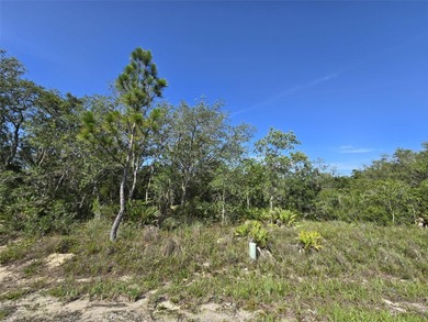 Lake Marion - Polk County Lot For Sale in Kissimmee Florida