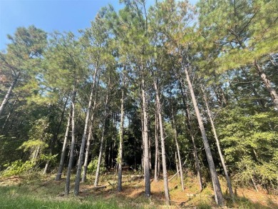 Lake Lot For Sale in Broken Bow, Oklahoma