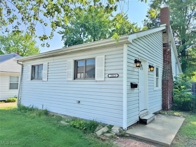 Lake Home For Sale in Willoughby, Ohio