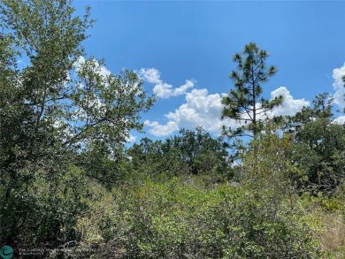 Lake Weohyakapka (Lake Walk-In-Water) Lot For Sale in Other City - In The State Of Florida Florida