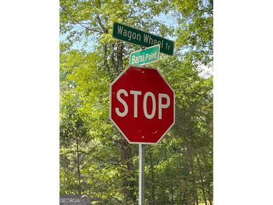 Green Valley Lake Acreage For Sale in Fayetteville Georgia