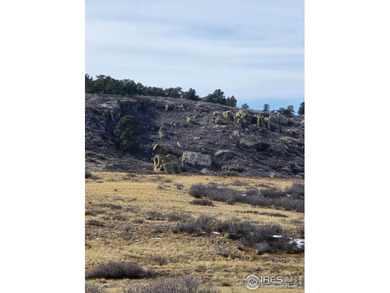 (private lake, pond, creek) Acreage For Sale in Berthoud Colorado